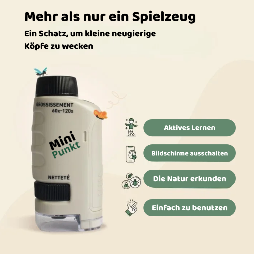 Mini Punkt